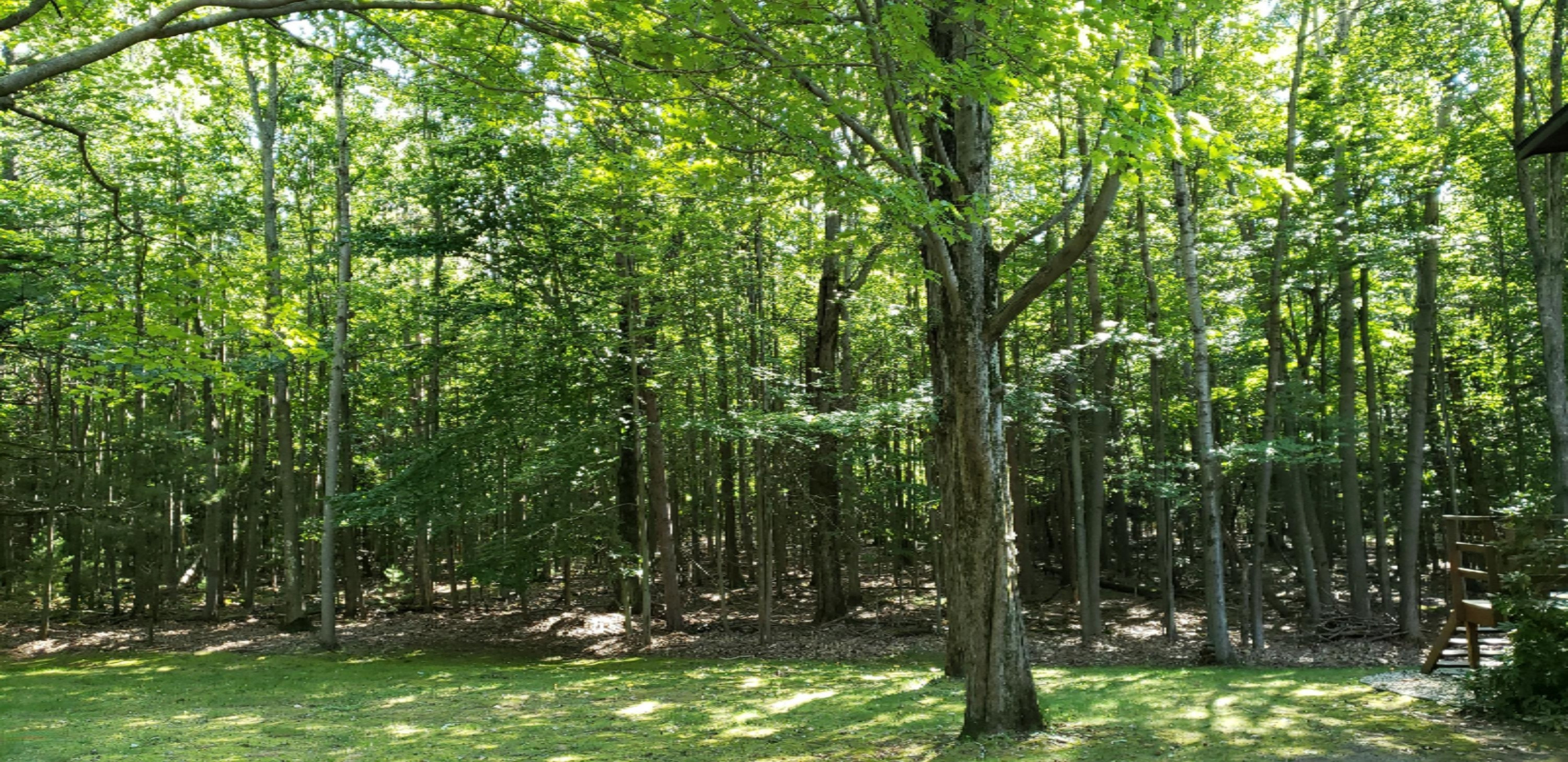 4249 Fox Farm Road Manistee, MI 49660 - Photo 20 of 50 20180911_153809