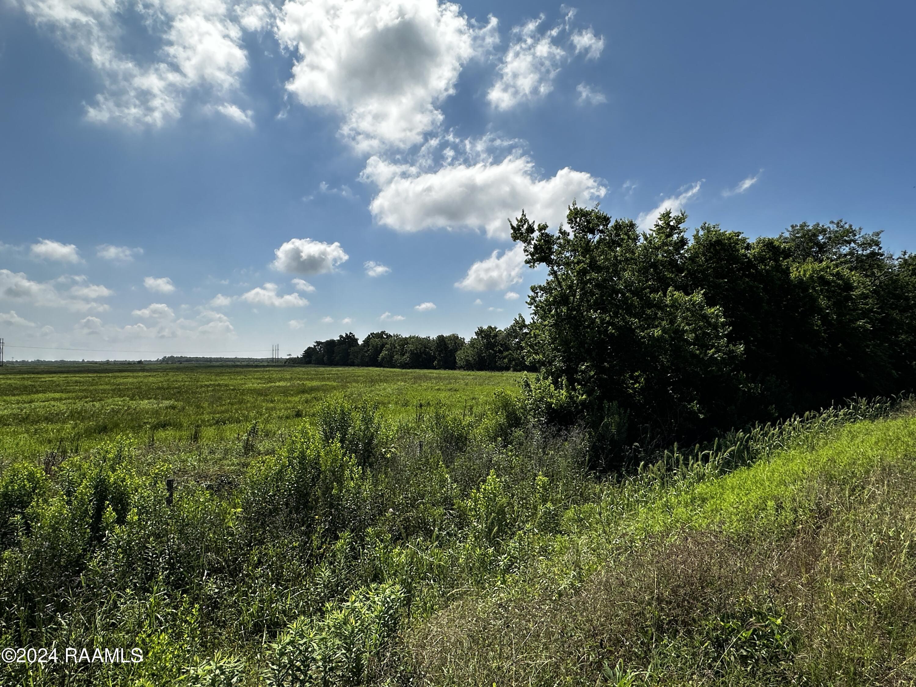 82 South Kaplan La Grand Chenier, LA 70643 - Photo 3 of 4 IMG_5406