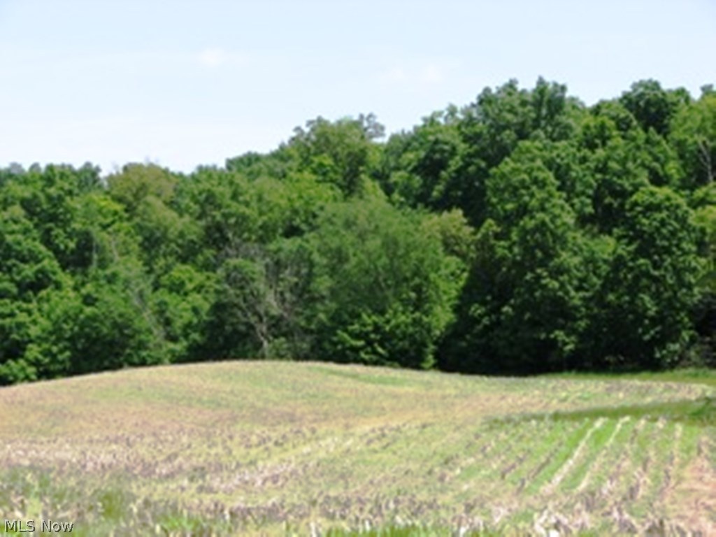 Saunders Road Shreve, OH 44676 - Photo 1 of 3 Gallery Image 1