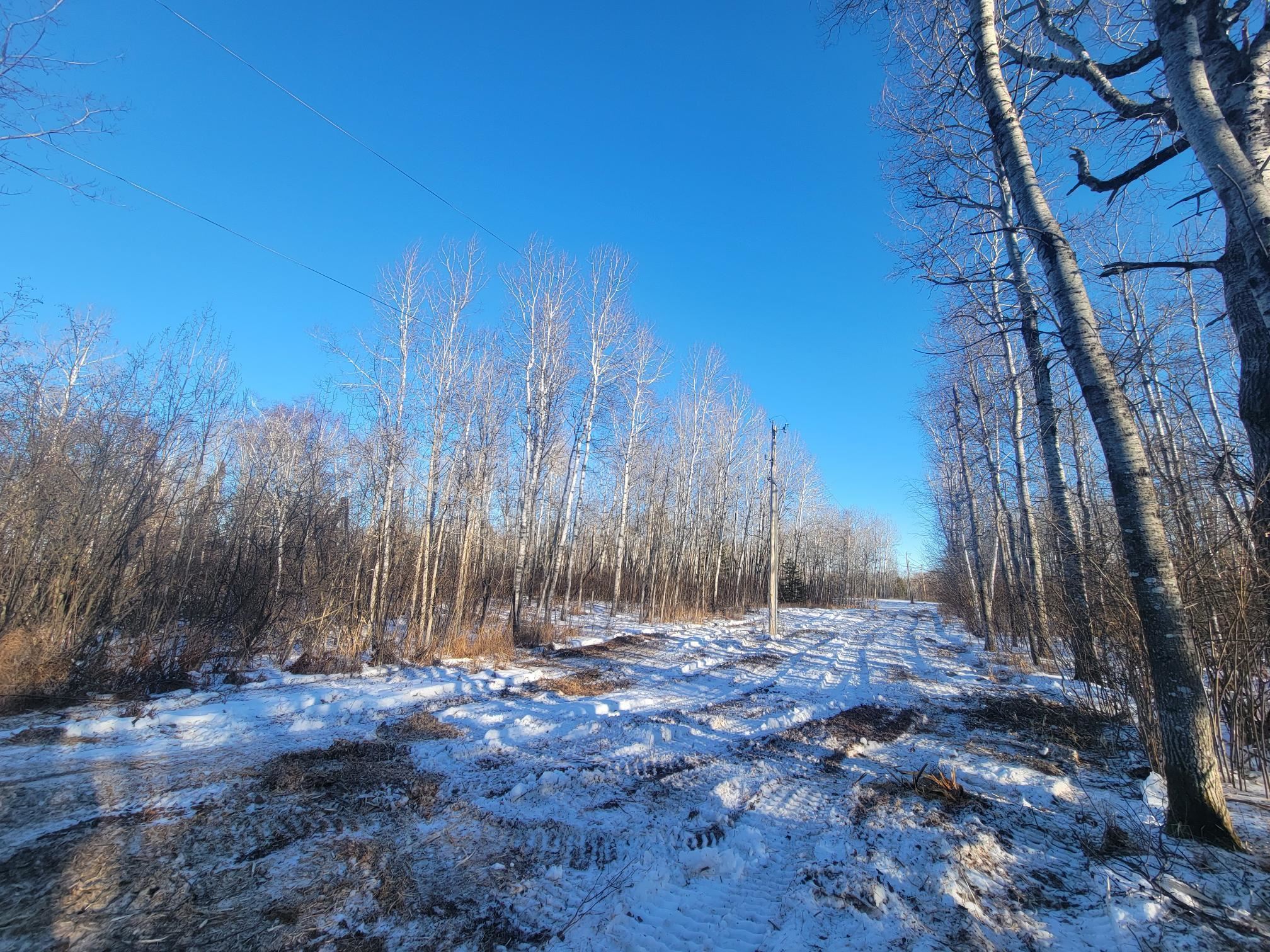 13 Port Wing Wi 54865 Port Wing, WI 54865 - Photo 12 of 21 Yard covered in snow with a forest view
