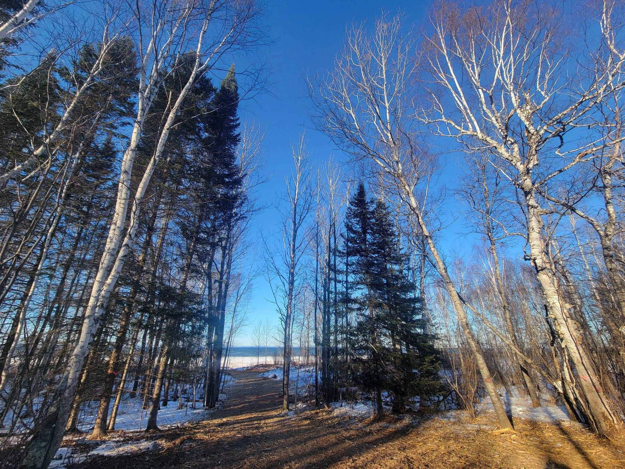 13 Port Wing Wi 54865 Port Wing, WI 54865 - Photo 14 of 21 View of yard