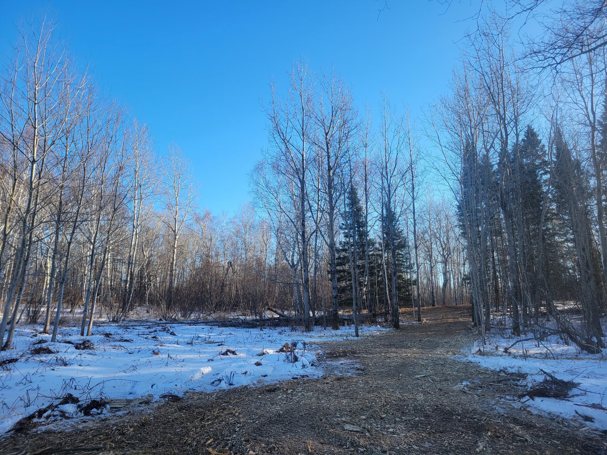 13 Port Wing Wi 54865 Port Wing, WI 54865 - Photo 20 of 21 View of road featuring a view of trees