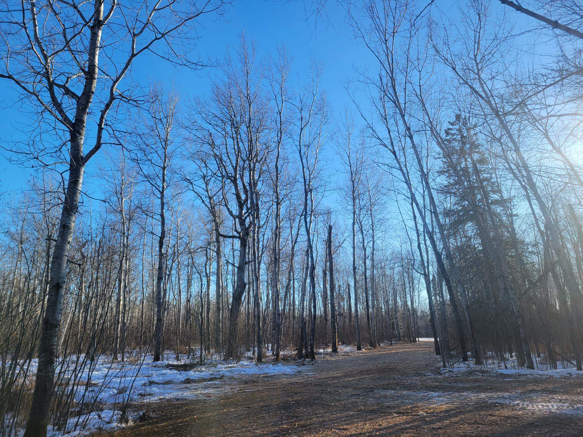 13 Port Wing Wi 54865 Port Wing, WI 54865 - Photo 21 of 21 Exterior space