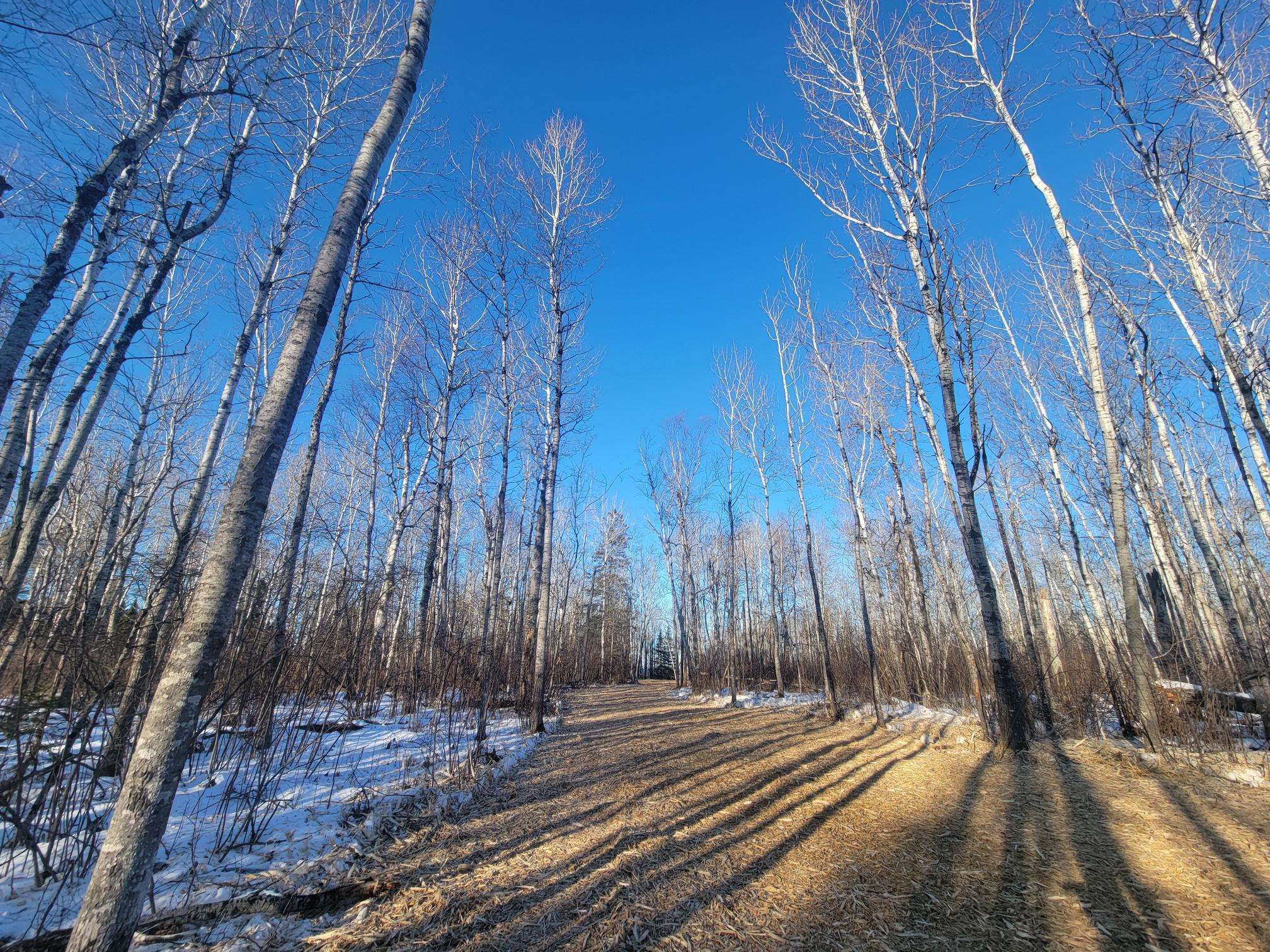 13 Port Wing Wi 54865 Port Wing, WI 54865 - Photo 7 of 21 View of home's community with a forest view