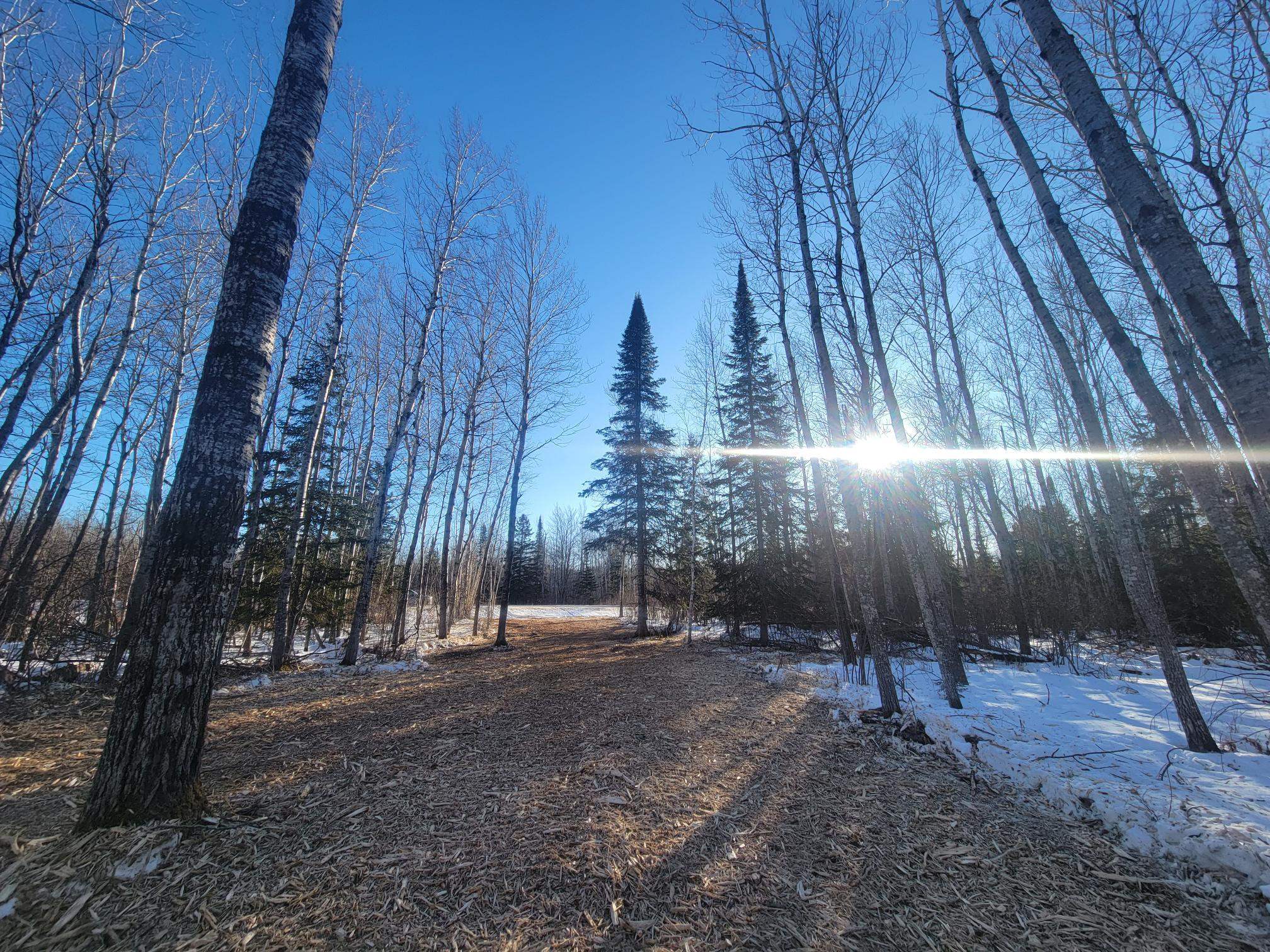 13 Port Wing Wi 54865 Port Wing, WI 54865 - Photo 8 of 21 View of yard featuring a view of trees