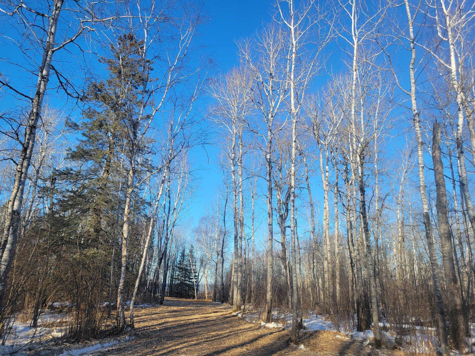 13 Port Wing Wi 54865 Port Wing, WI 54865 - Photo 9 of 21 View of road with a wooded view