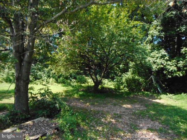 5668 Pine Road Thomasville, PA 17364 - Photo 8 of 32 Back Yard