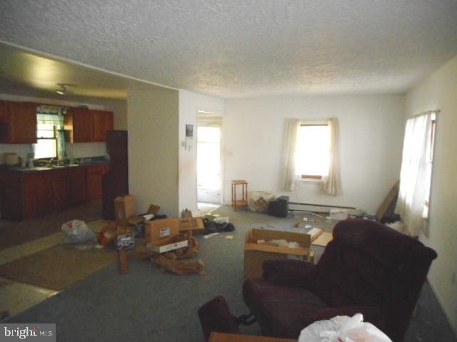 5668 Pine Road Thomasville, PA 17364 - Photo 10 of 32 Living Room