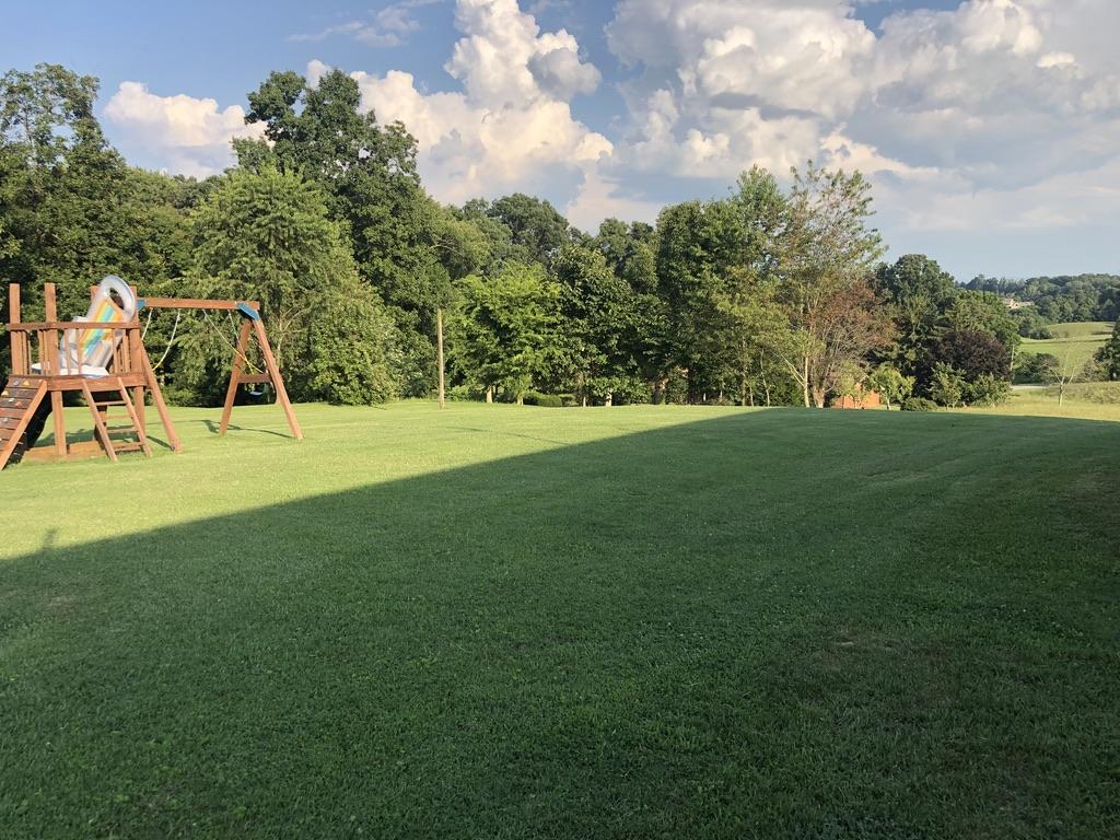 3103 Highway 81 Fall Branch, TN 37656 - Photo 17 of 39 Back yard
