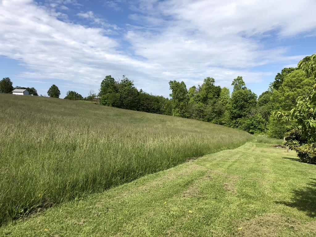 3103 Highway 81 Fall Branch, TN 37656 - Photo 25 of 39 Pic