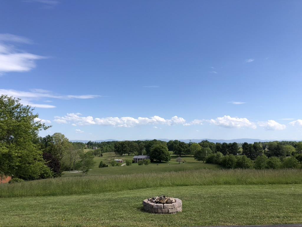 3103 Highway 81 Fall Branch, TN 37656 - Photo 26 of 39 Breathtaking views!