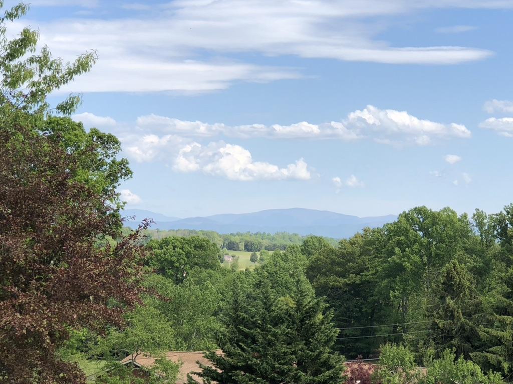 3103 Highway 81 Fall Branch, TN 37656 - Photo 31 of 39 Mountain views