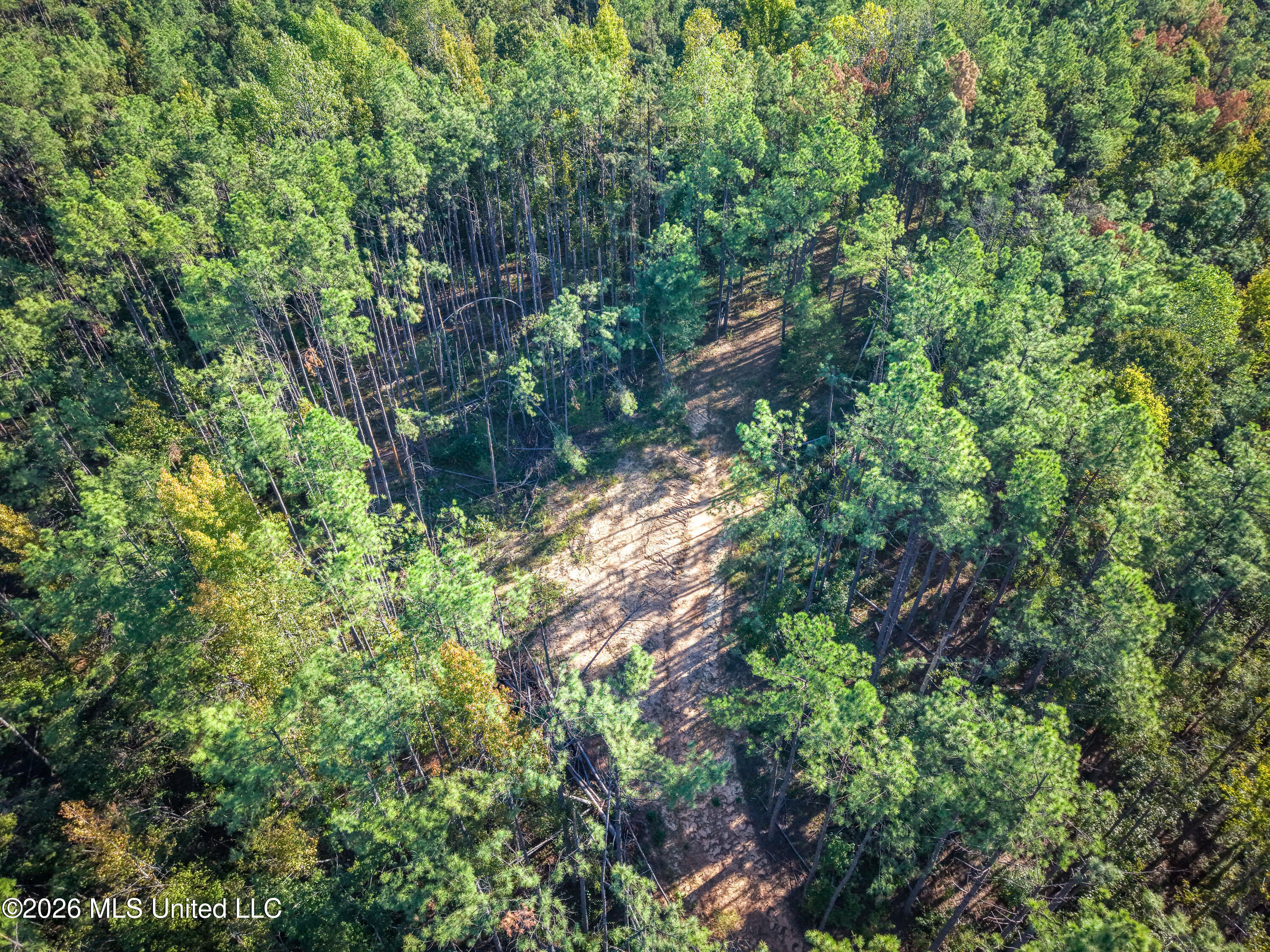 2000 Deer Creek Road Batesville, MS 38606 - Photo 17 of 54 Gary Woody Property (20)