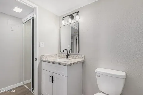 a bathroom with a toilet a sink and mirror