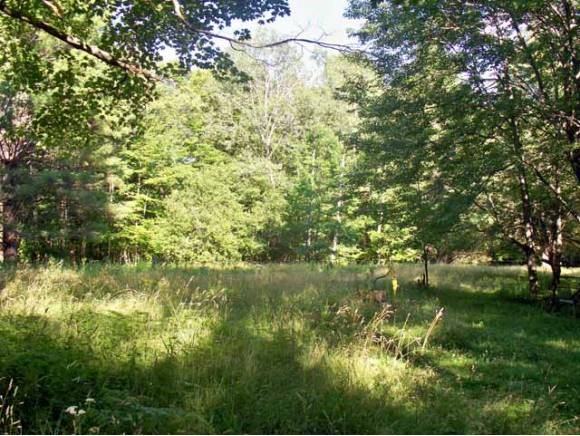 647 Bear Mountain Road Wallingford, VT 05742 - Photo 1 of 1 Gallery Image 1