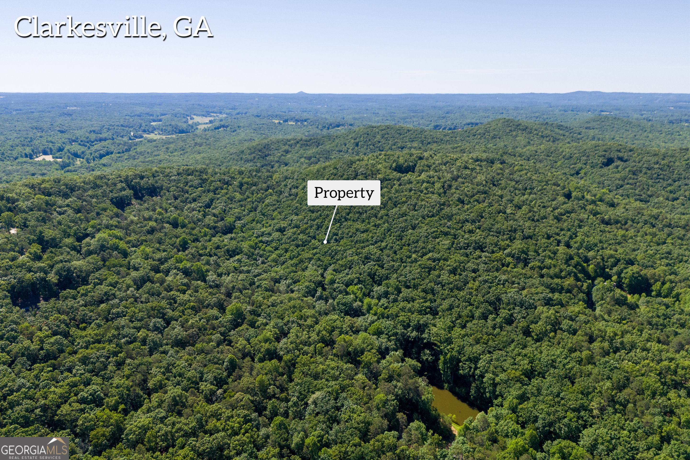 5012 Alec Mountain Road Clarkesville, GA 30523 - Photo 14 of 37 a view of a lush green field with mountains in the background