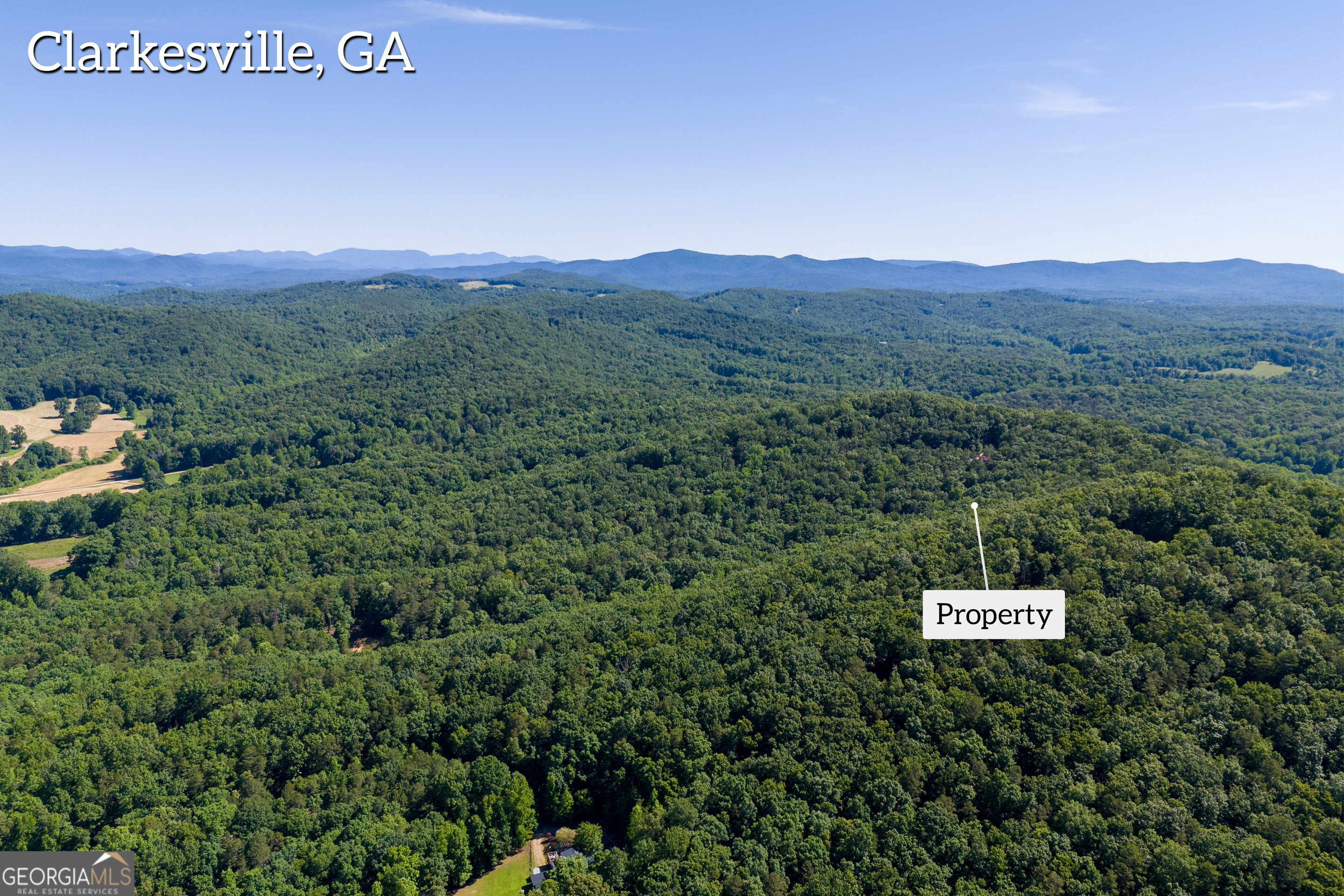 5012 Alec Mountain Road Clarkesville, GA 30523 - Photo 16 of 37 a view of a lush green field