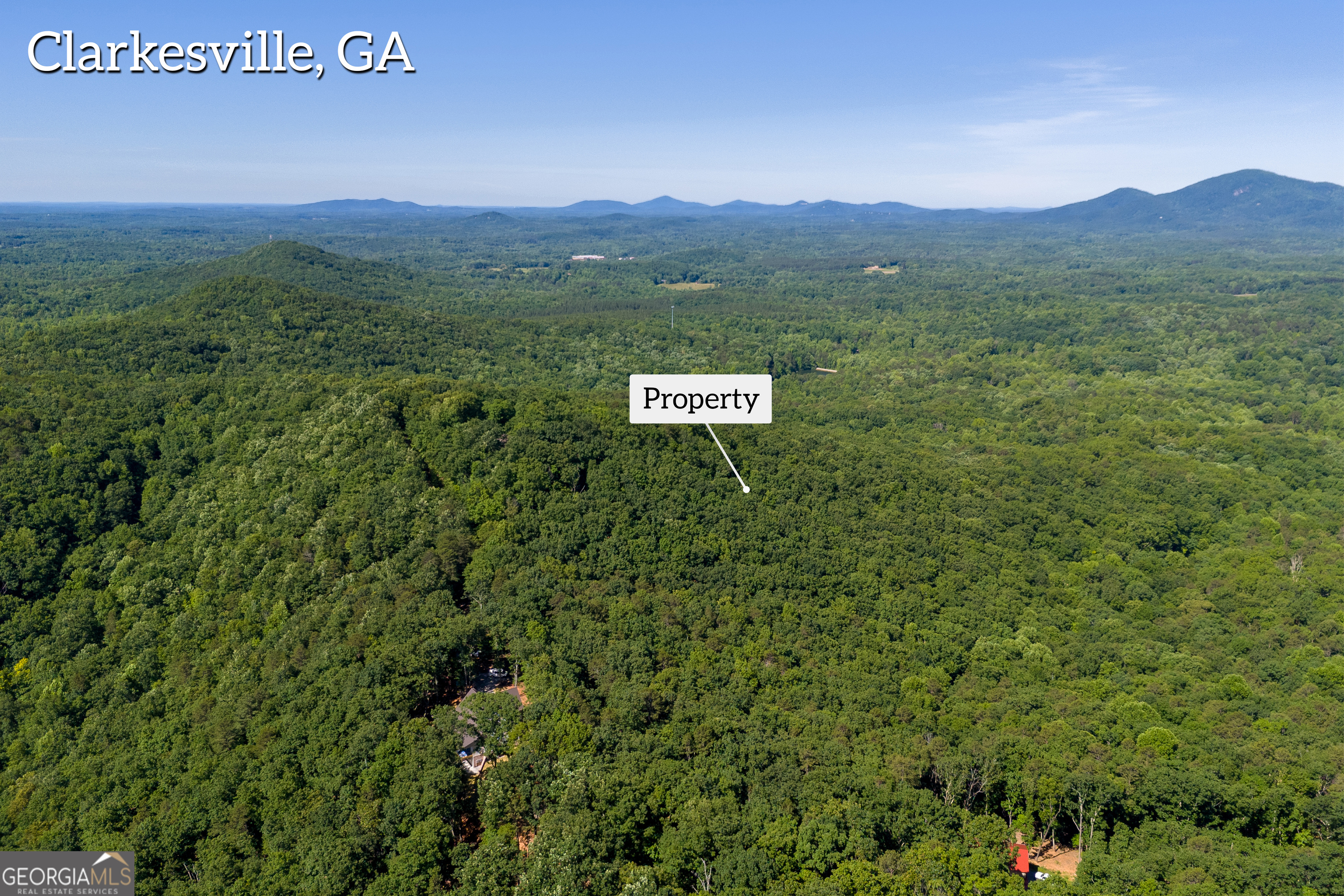 5012 Alec Mountain Road Clarkesville, GA 30523 - Photo 18 of 37 a view of a lush green hillside and a houses