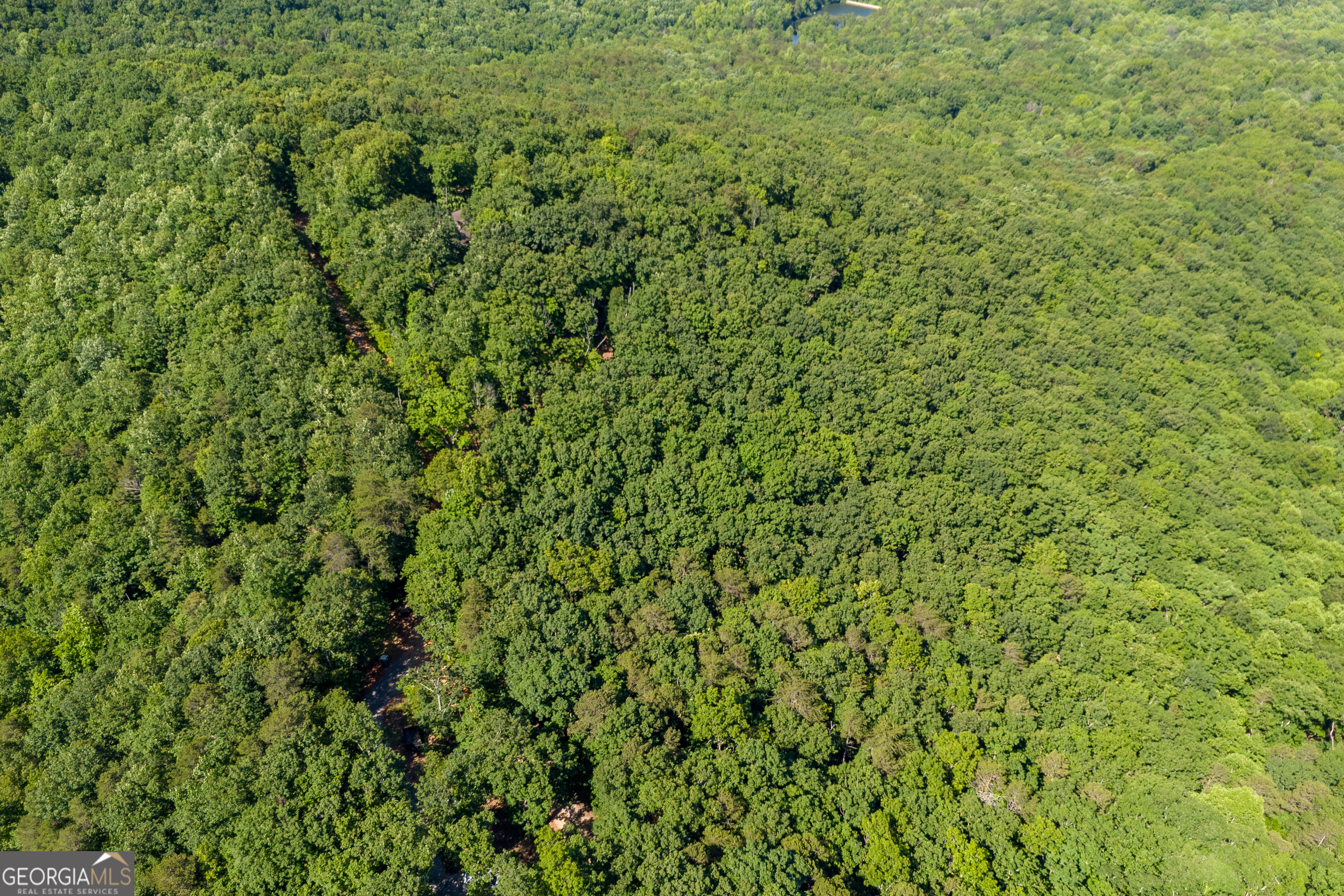5012 Alec Mountain Road Clarkesville, GA 30523 - Photo 19 of 37 a view of a lush green field