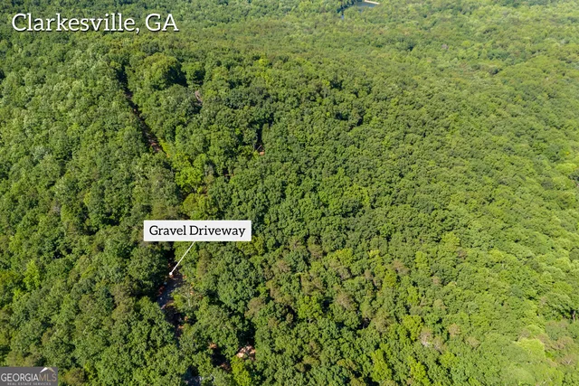 a view of a park that has large trees