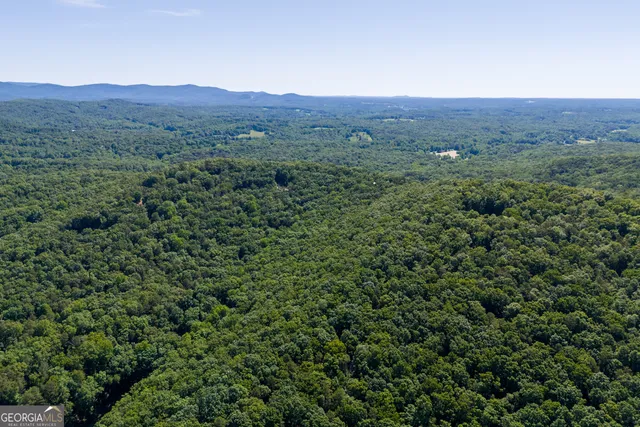 a view of a lush green hillside and a houses
