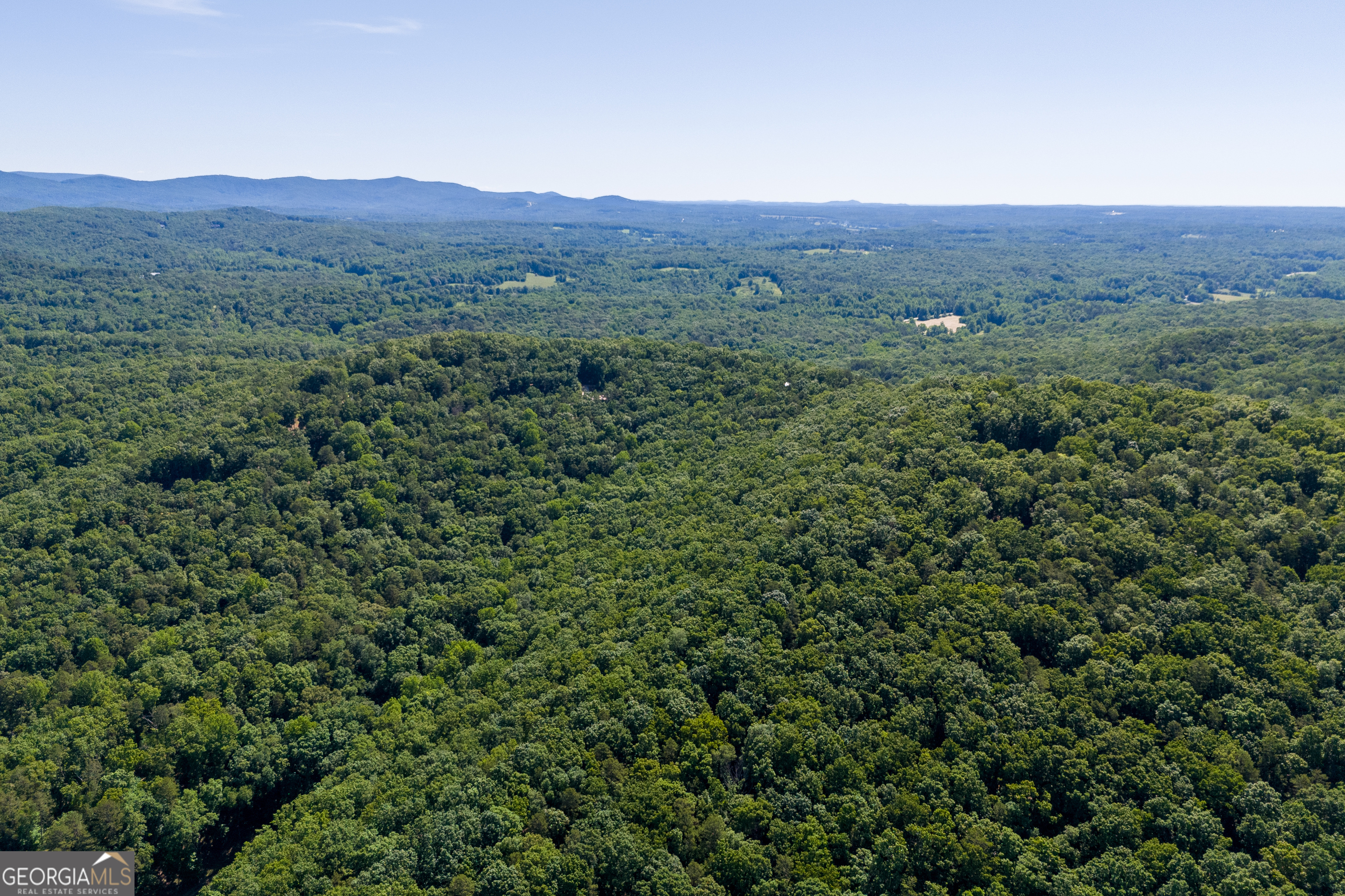 5012 Alec Mountain Road Clarkesville, GA 30523 - Photo 23 of 37 a view of a lush green hillside and trees