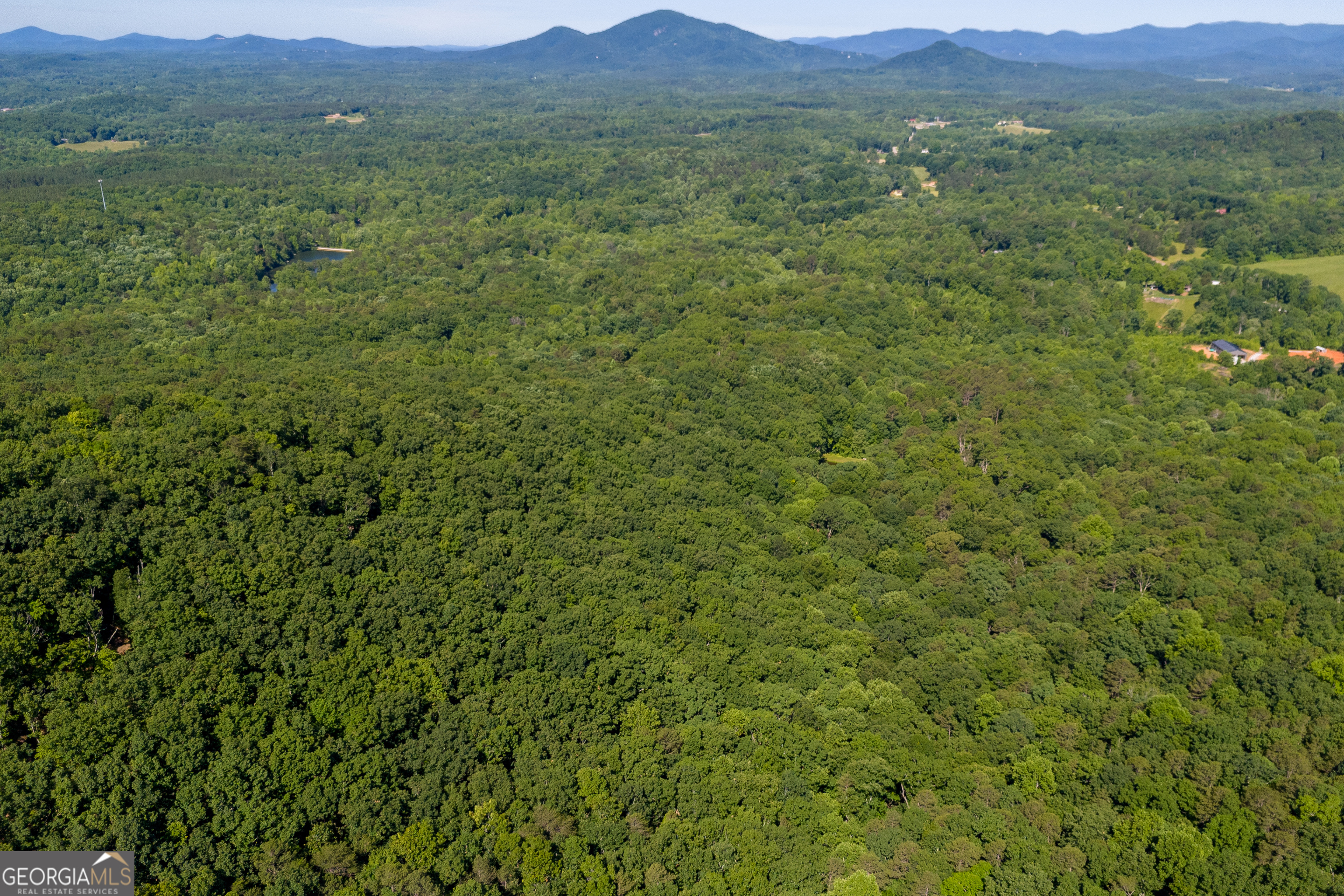 5012 Alec Mountain Road Clarkesville, GA 30523 - Photo 26 of 37 a view of a lush green hillside and a houses