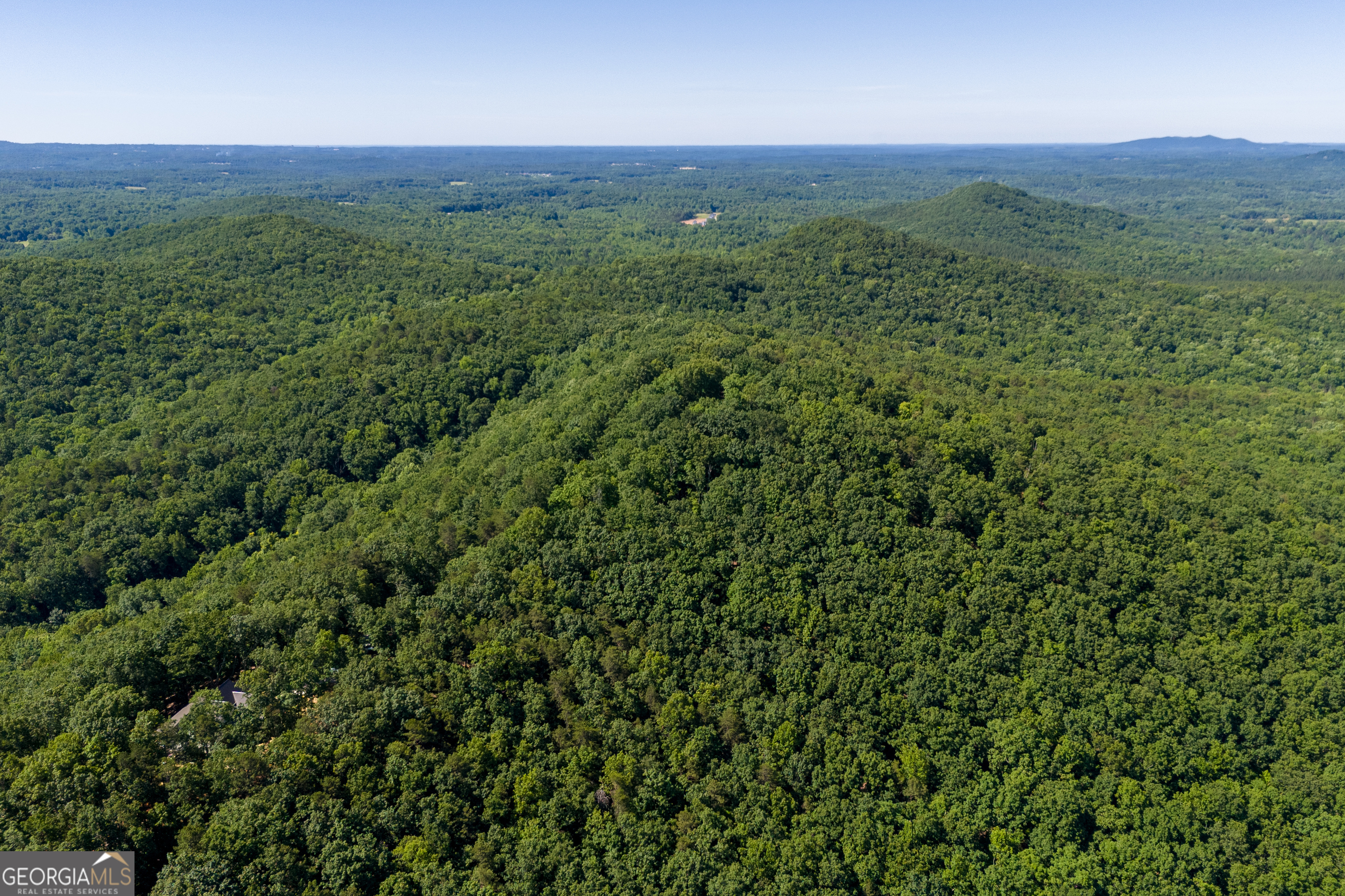 5012 Alec Mountain Road Clarkesville, GA 30523 - Photo 27 of 37 a view of a lush green forest with a mountain