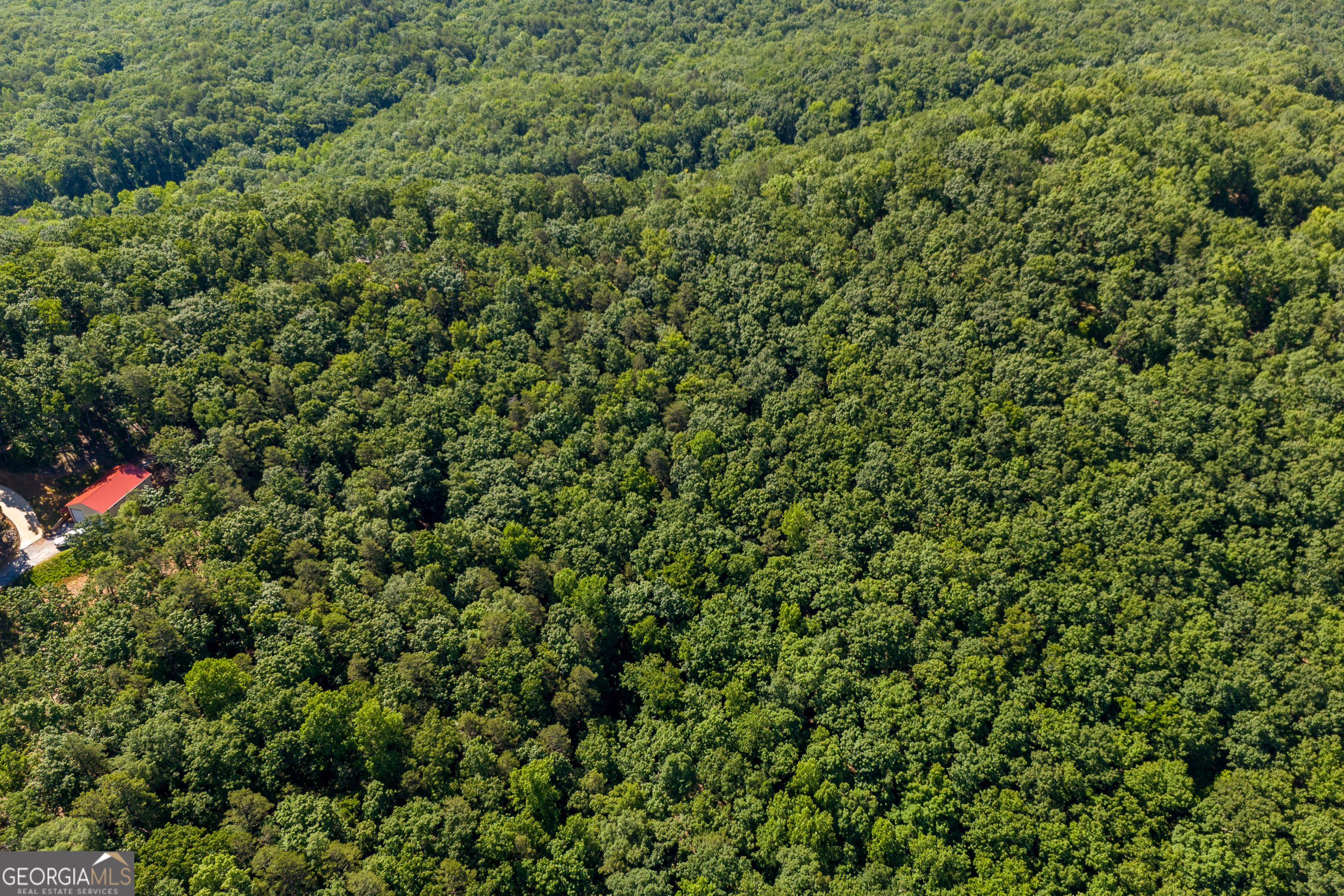 5012 Alec Mountain Road Clarkesville, GA 30523 - Photo 28 of 37 with a small yard