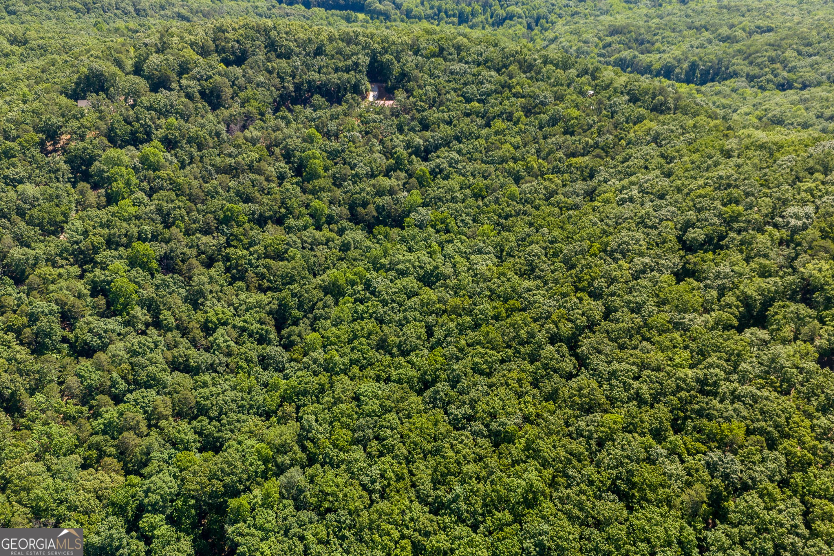 5012 Alec Mountain Road Clarkesville, GA 30523 - Photo 29 of 37