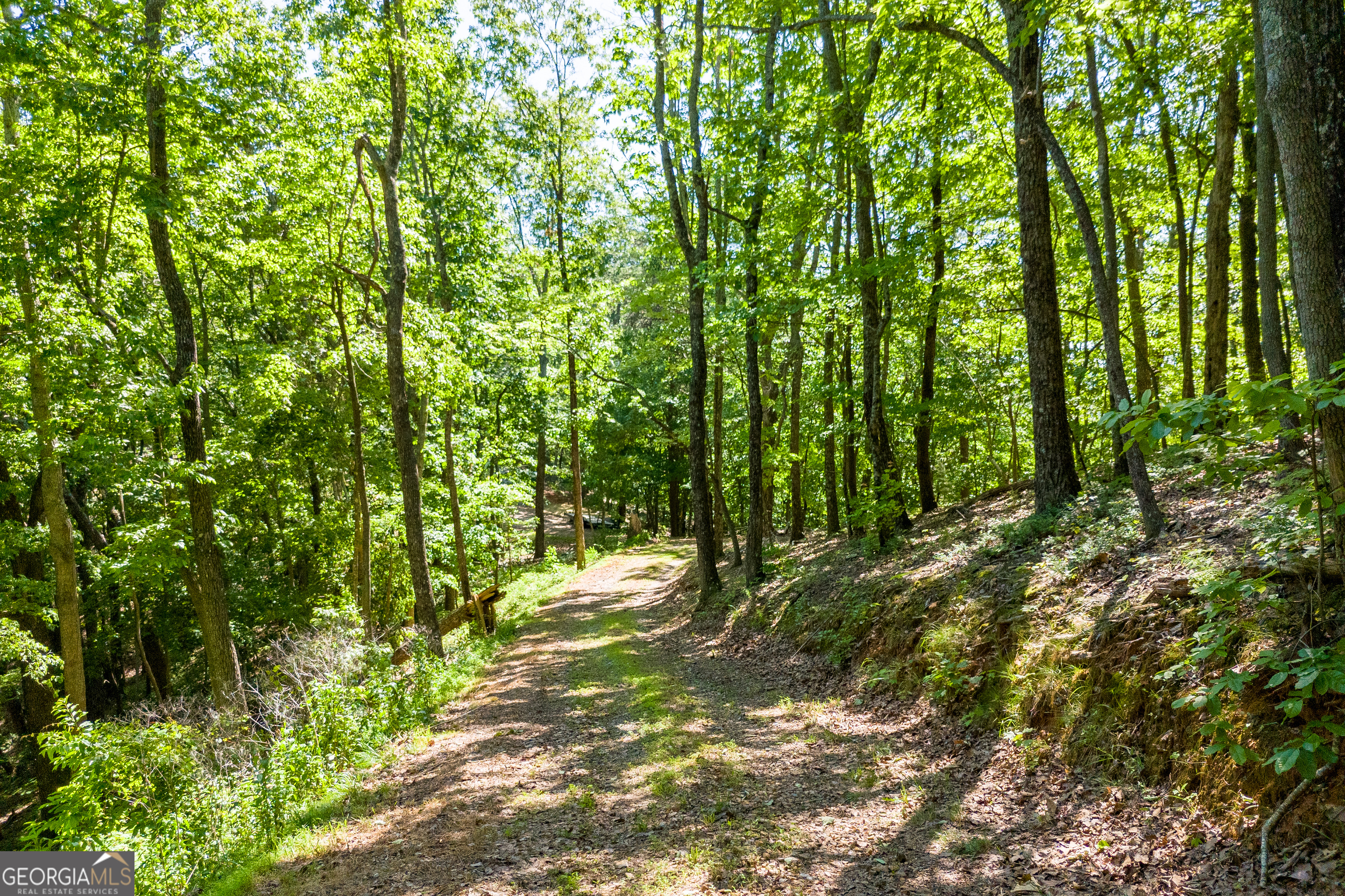 5012 Alec Mountain Road Clarkesville, GA 30523 - Photo 30 of 37 a view of yard