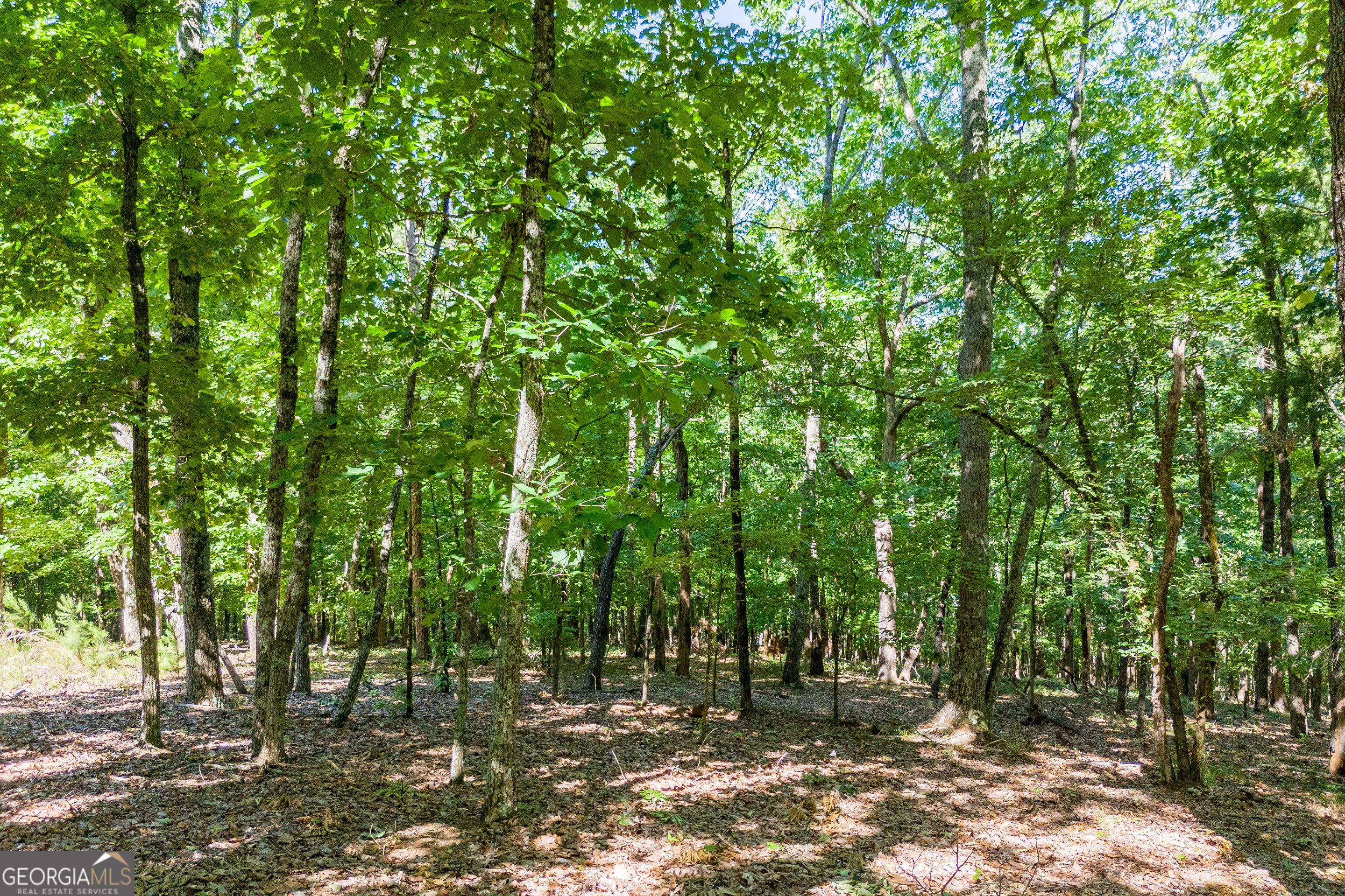 5012 Alec Mountain Road Clarkesville, GA 30523 - Photo 34 of 37 a view of outdoor space and yard