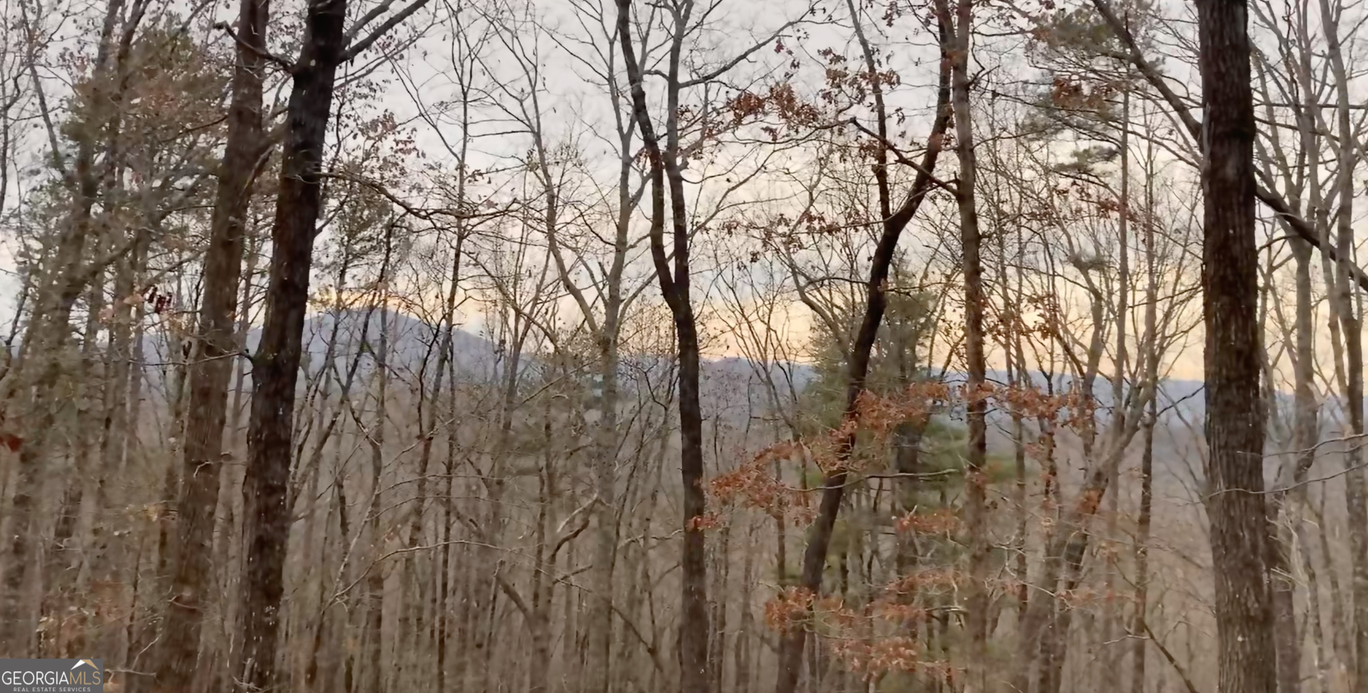 5012 Alec Mountain Road Clarkesville, GA 30523 - Photo 36 of 37 a view of forest