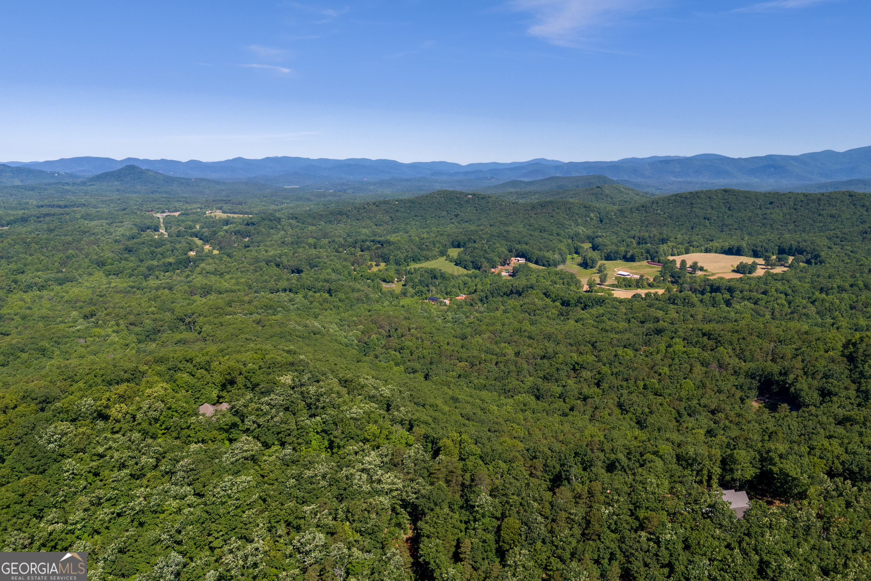 5012 Alec Mountain Road Clarkesville, GA 30523 - Photo 4 of 37 a view of a lush green hillside and a houses