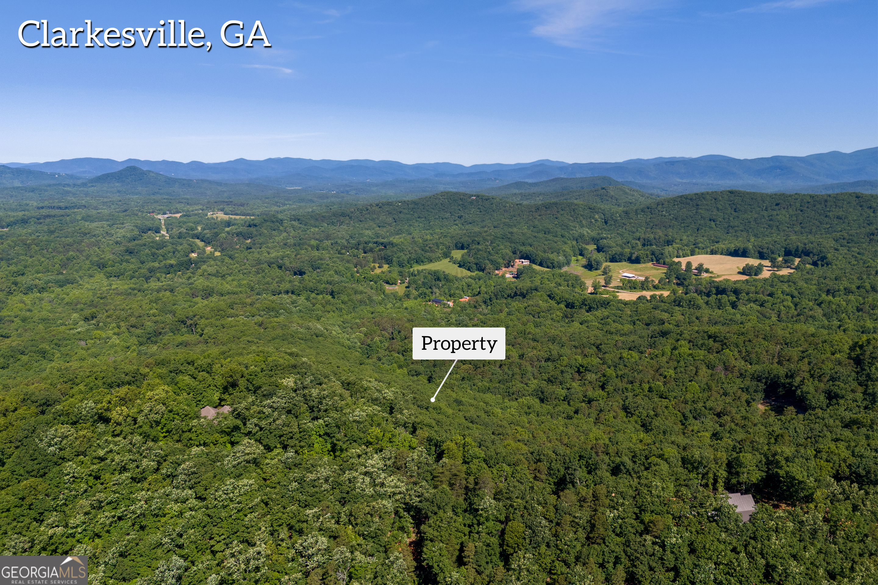 5012 Alec Mountain Road Clarkesville, GA 30523 - Photo 5 of 37 a view of a lush green hillside and houses