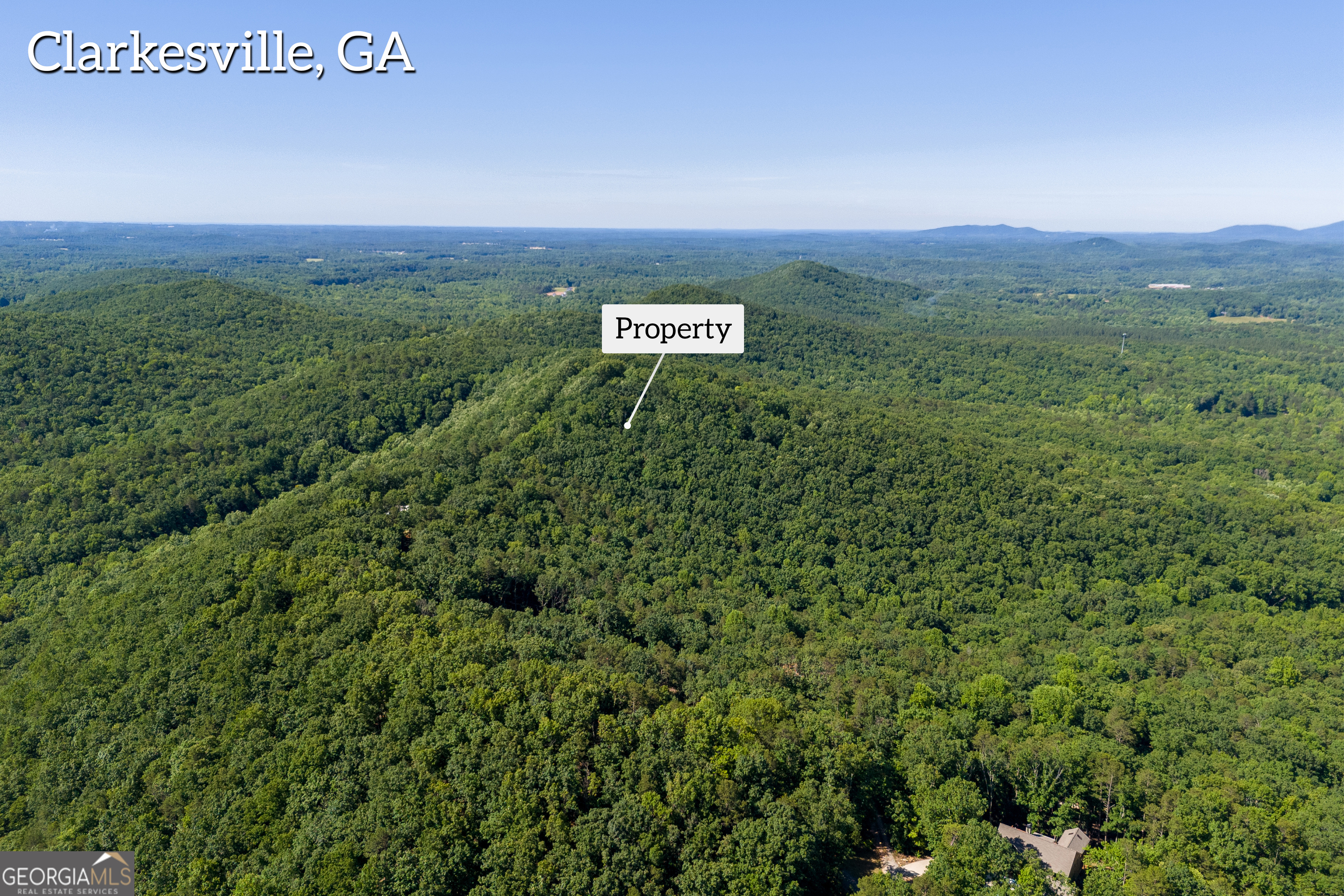 5012 Alec Mountain Road Clarkesville, GA 30523 - Photo 10 of 37 a view of a field