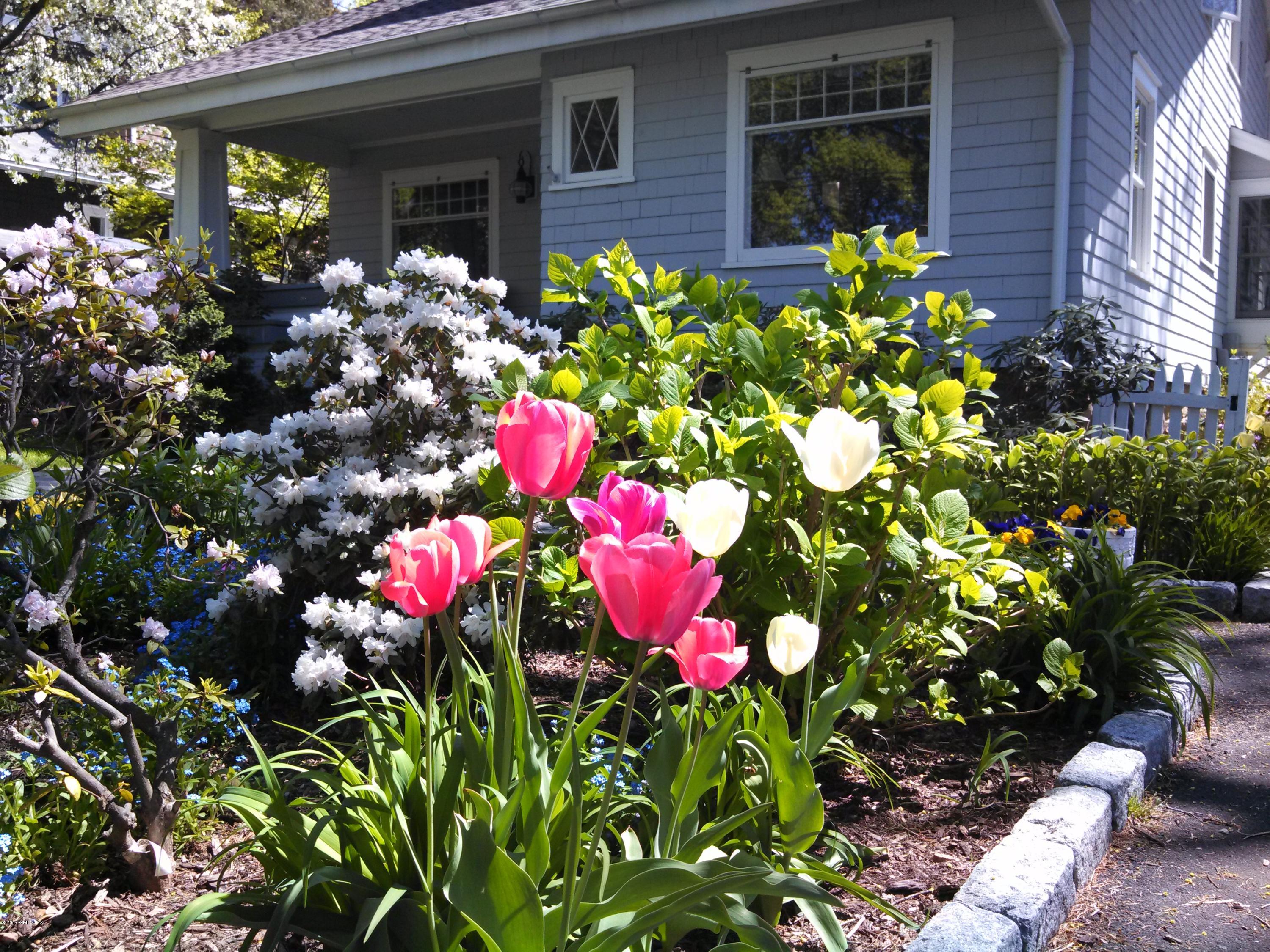 30 Chapel Lane Riverside, CT 06878 - Photo 30 of 37 Spring in Full Bloom
