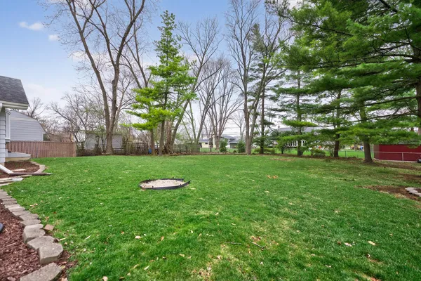 a view of backyard with tree