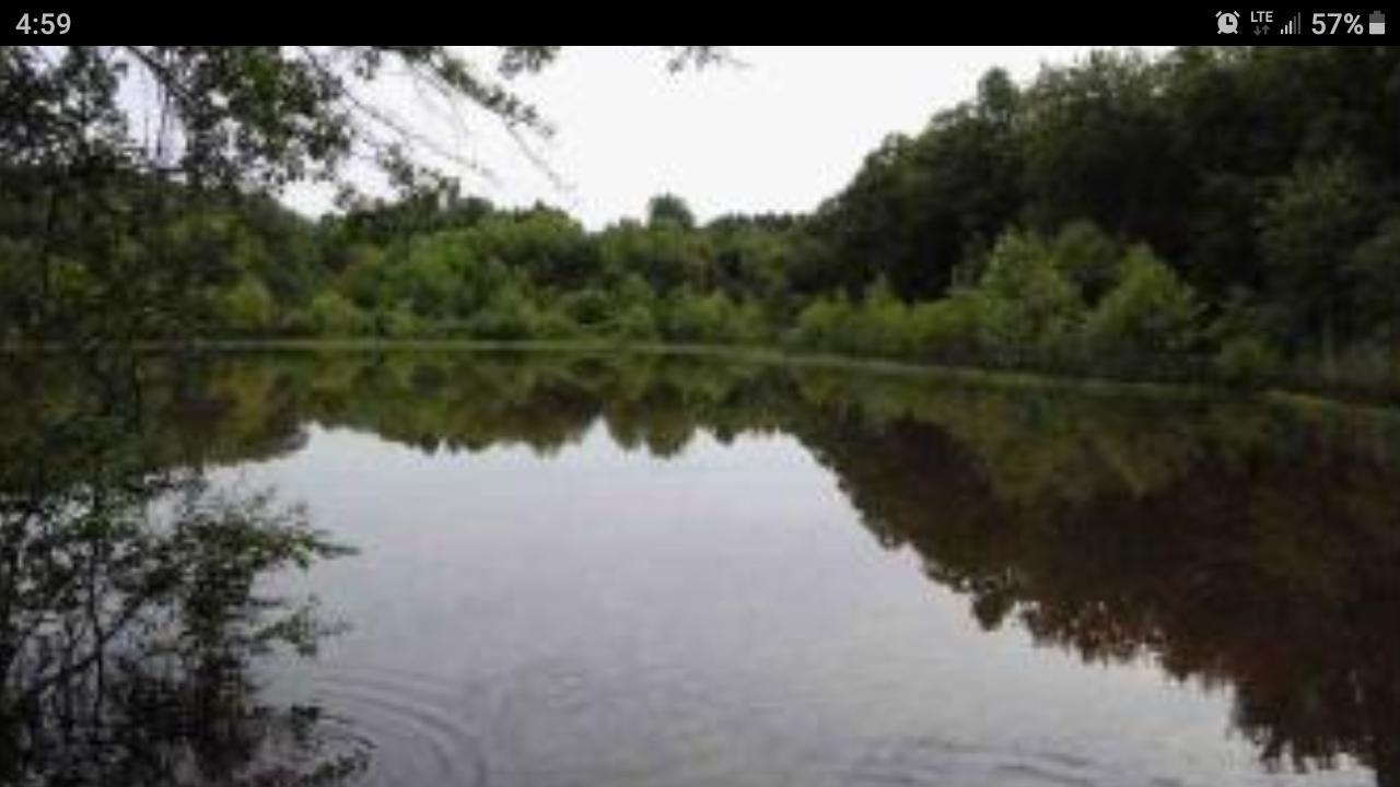 Beautiful pond located on this property