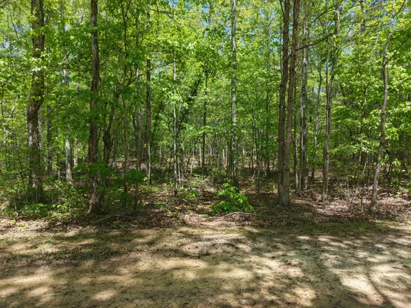 a view of outdoor space and trees