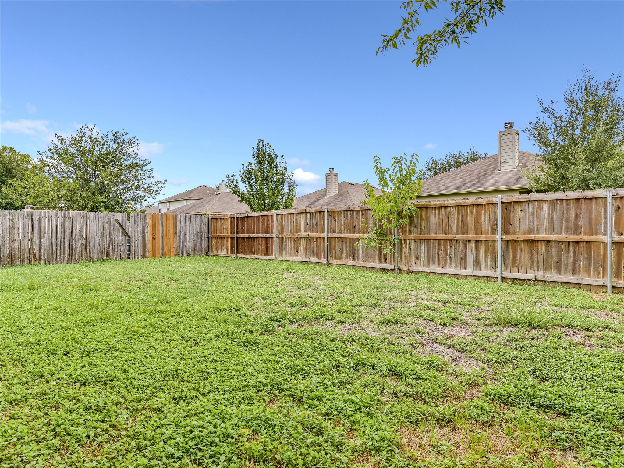 11401 Dimmitt Street Manor, TX 78653 - Photo 21 of 23 a view of a backyard with a garden