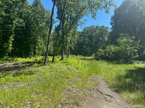 44735 Dunn Road Belleville, MI 48111 - Photo 1 of 4