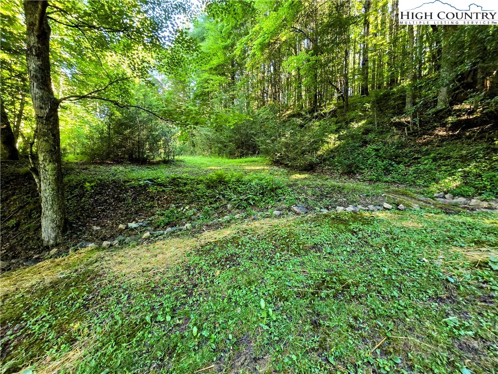 513 Calloway Road Boone, NC 28607 - Photo 40 of 43 Gallery Image 40