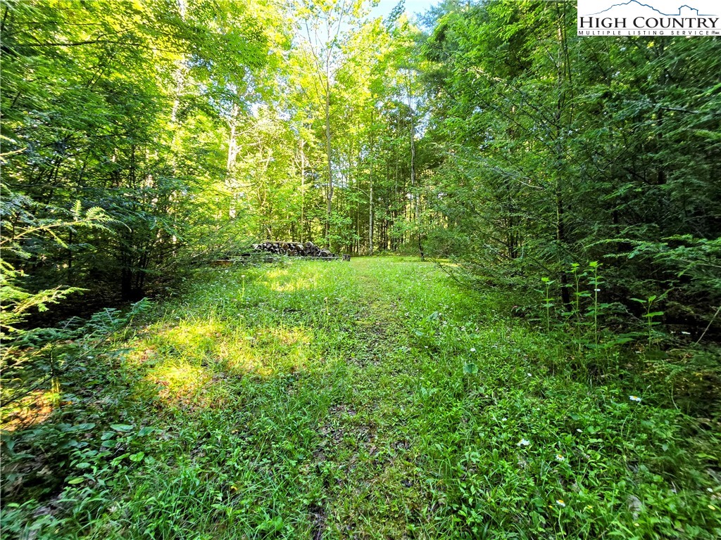 513 Calloway Road Boone, NC 28607 - Photo 41 of 43 Gallery Image 41