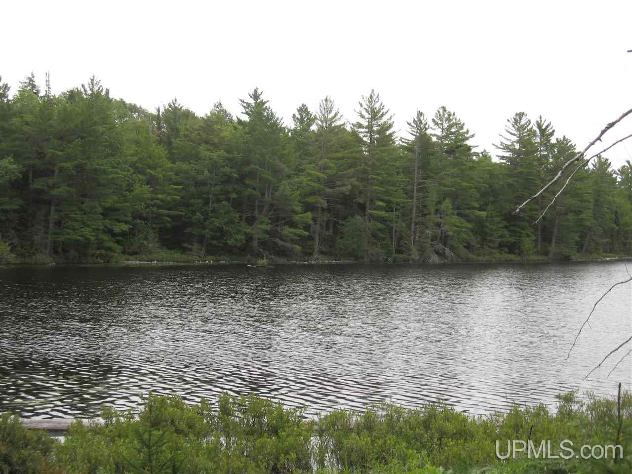 0 Rhody Cr, Unit CARTER LAKE RDP Seney, MI 49883 - Photo 17 of 36