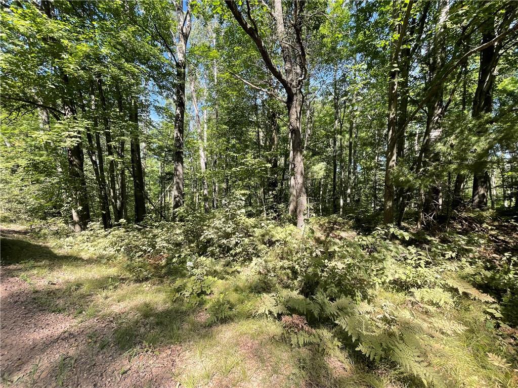 Xxx Sand Road Shell Lake, WI 54871 - Photo 1 of 1 Gallery Image 1