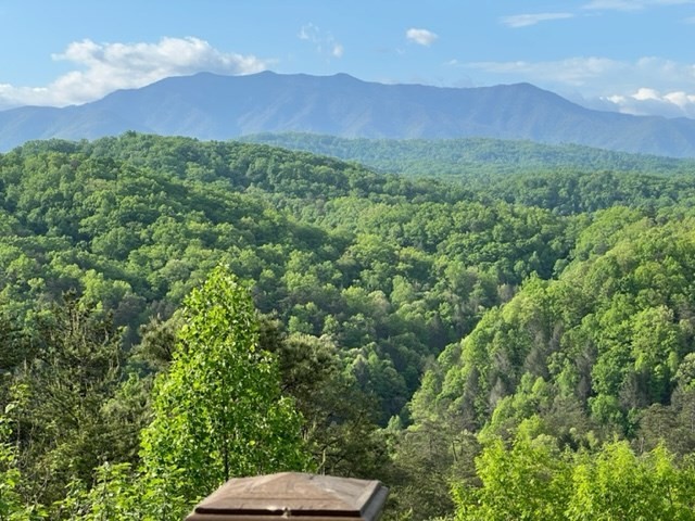 1815 Timber Ridge Way Sevierville, TN 37876 - Photo 5 of 27