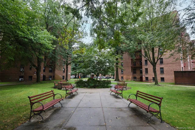 a garden with trees in front of it