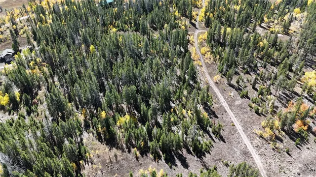 a close up of a plant in a garden