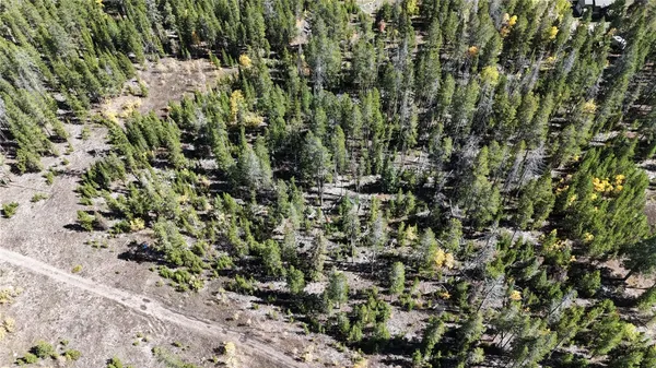 a view of a bench in the middle of a yard
